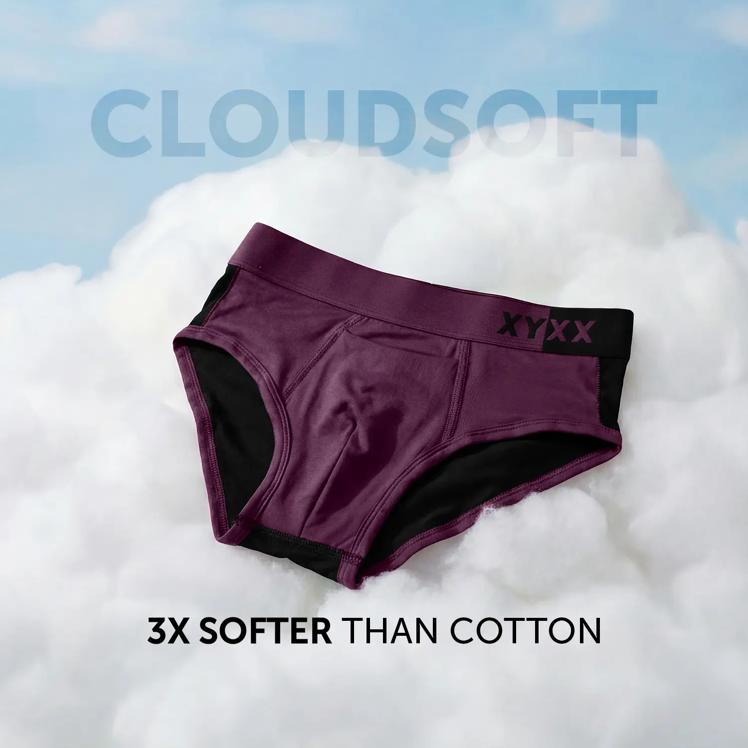 Dualist Modal Briefs Purple Plum - Image 2